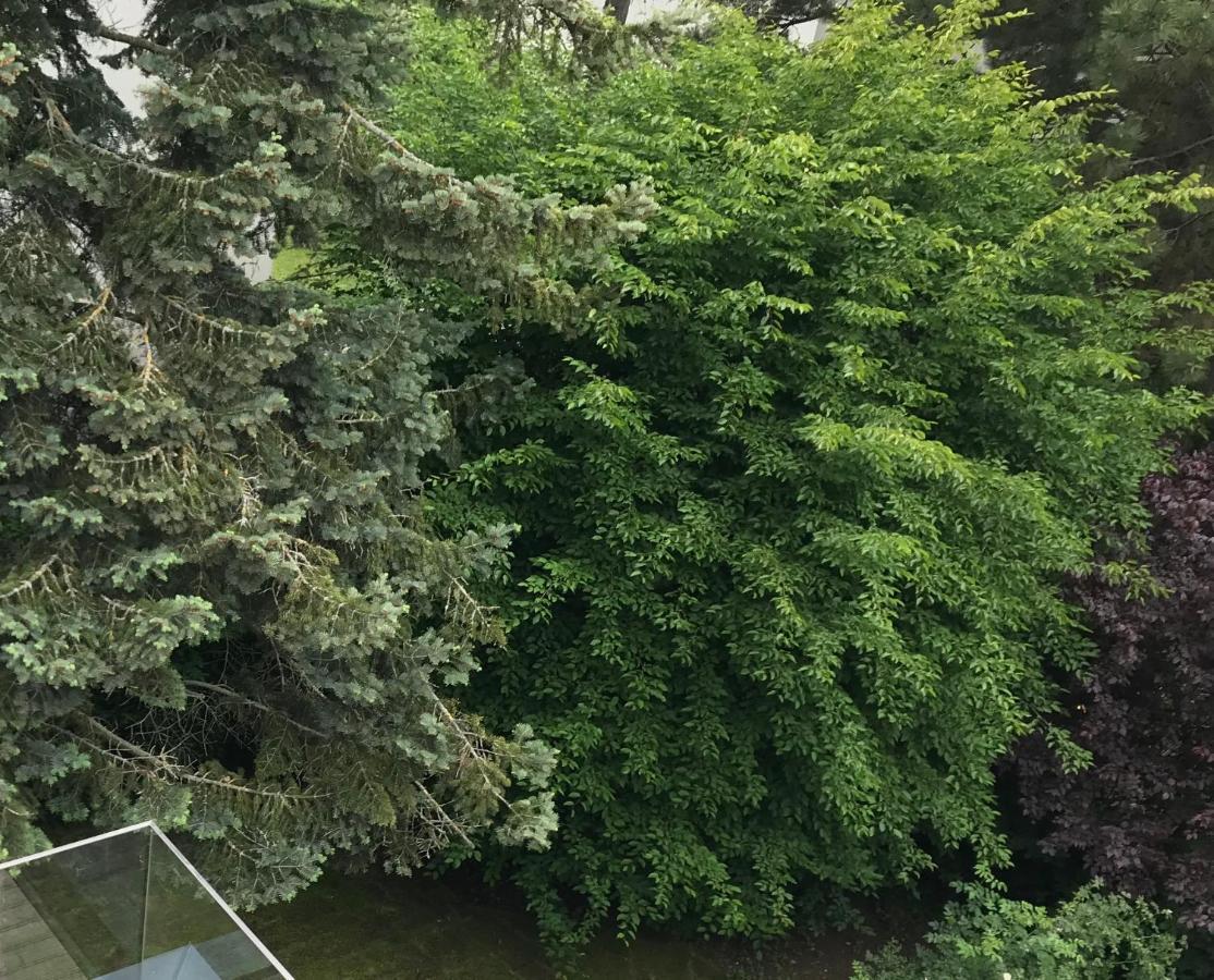 Premium Green Apartments Wiedeń Zewnętrze zdjęcie